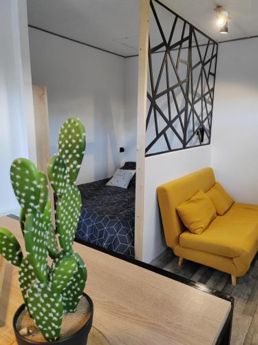 a cactus in a pot in a living room with a couch at La crique in Saint-Quay-Portrieux