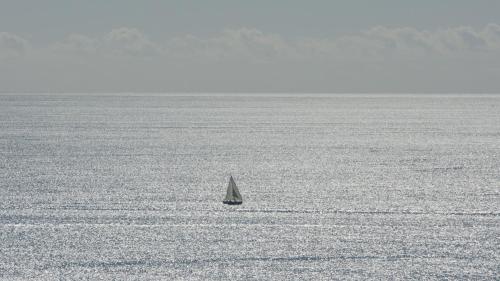 a sail boat in the middle of a large body of water at Funtana Meiga, il tuo angolo di paradiso in Funtana Meiga