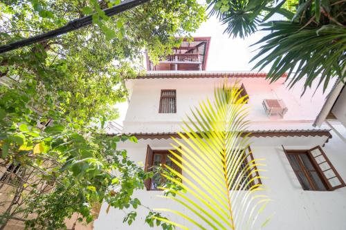 a white building with a palm tree in front of it at Pili Pili Kahawa House in Stone Town