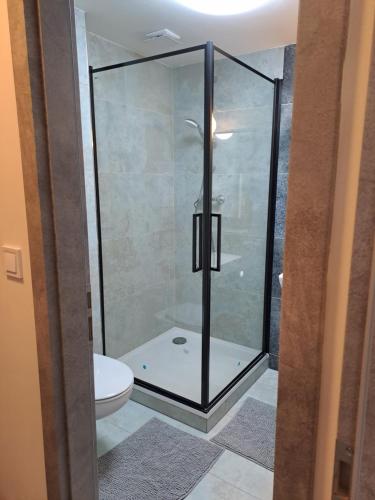 a glass shower in a bathroom with a toilet at Loft Polná in Boletice