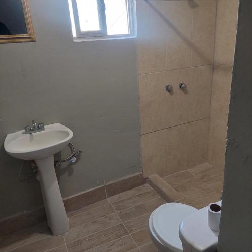 Apartamento céntrico cómodo في تشيواوا: حمام مع حوض ودش ومرحاض