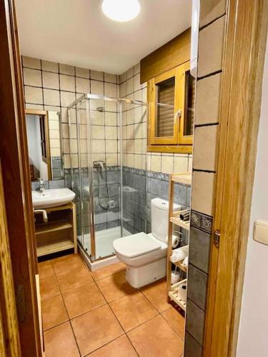 een badkamer met een toilet, een douche en een wastafel bij Piso Pineta in Bielsa