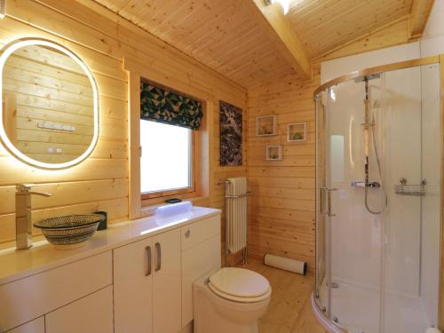 a bathroom with a toilet and a shower at Little Lodge in Newton Stewart