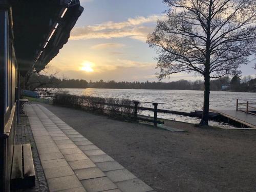 una panchina accanto a un corpo d'acqua con un albero di Holte lejlighed a Holte