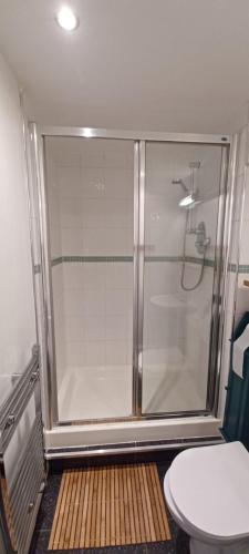 a shower stall in a bathroom with a toilet at The Court Cottage 2 bedroom in Exeter