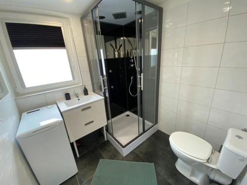 a bathroom with a shower and a toilet and a sink at Studio lumineux, à 2 minutes de Colmar in Horbourg