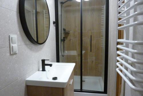 a bathroom with a sink and a shower with a mirror at Kulibaba in Bystrzyca Kłodzka