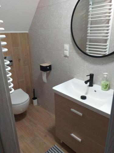 a bathroom with a sink and a mirror at Kulibaba in Bystrzyca Kłodzka