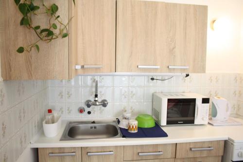 a kitchen with a sink and a microwave at Casa Mamma in Budapest
