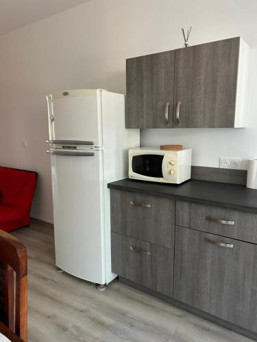 La cuisine est équipée d'un réfrigérateur blanc et d'un four micro-ondes. dans l'établissement Charmant appartement en rez-de chaussée, à Saint-Marcel