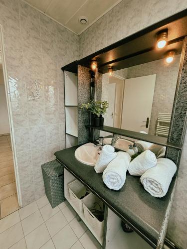 une salle de bain avec un lavabo et un miroir dans l'établissement Duplex avec jardin - Proche Paris - Disneyland - RER -, à Noisy-le-Grand