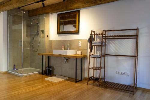 a bathroom with a sink and a shower at Kleines Schwarzwald Apartment City in Villingen-Schwenningen