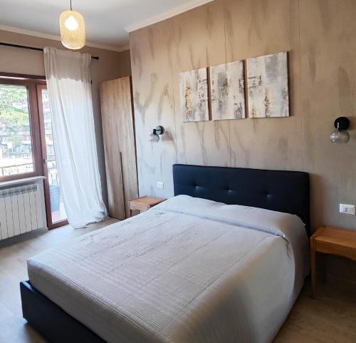 Doina Guest House