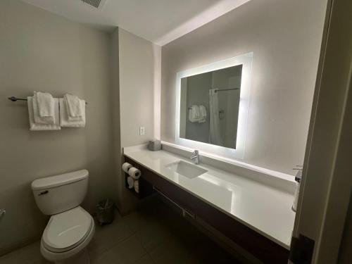 a bathroom with a toilet and a sink with a mirror at Holiday Inn Express Hotel & Suites Chesterfield - Selfridge Area, an IHG Hotel in Chesterfield