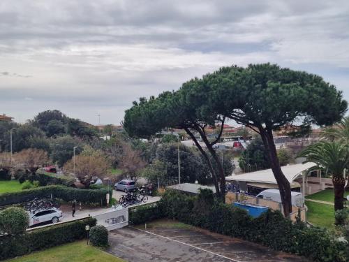 Jardín al aire libre en La casa del sole a 50 m dal mare