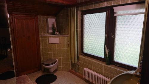 a bathroom with a toilet and a sink and two windows at Eifelvilla Urbigkeit in Schönecken