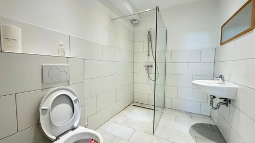 een badkamer met een douche, een toilet en een wastafel bij Studio Apartment - nahe Itzehoe in Itzehoe