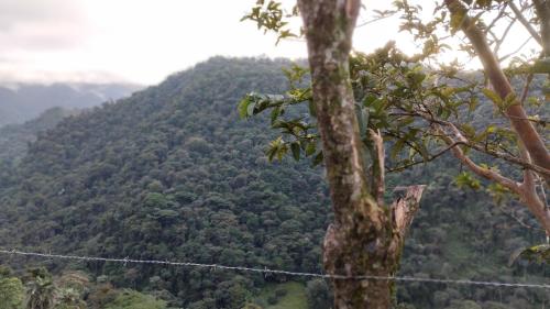 auliculiculiculiculiculiculiculiculiculiculiculiculiculiculic at Finca Del Cielo in El Castillo de la Fortuna
