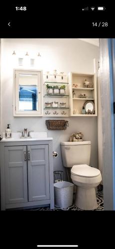 The Cozy Cottage في توماسفيل: حمام به مرحاض أبيض ومغسلة