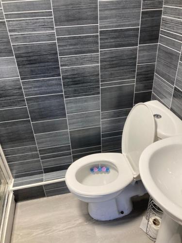 a bathroom with a toilet and a sink at Abingdon Lodge Hotel in Ryde