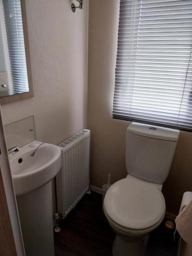 a bathroom with a white toilet and a sink at Cordy's Caravan in Mablethorpe