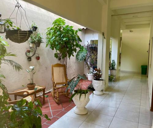 a hallway with a bunch of potted plants on the wall at Hostal Doña Nancy in Mompos