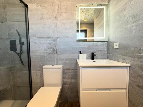 a bathroom with a toilet and a sink and a mirror at Apartamentos Identia Sport by gaiarooms in León