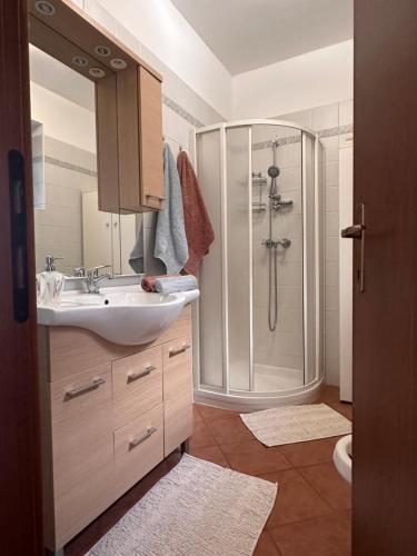 a bathroom with a sink and a shower at Casa Vacanze La Formica in Verbania