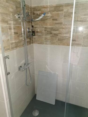 une salle de bain avec douche et toilettes dans l'établissement Le bonheur au vert feuillage, à Honfleur