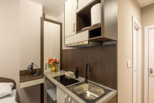 ベオグラードにあるCenter Prestige Apartmentsのキッチン(ステンレス製のシンク、キャビネット付)