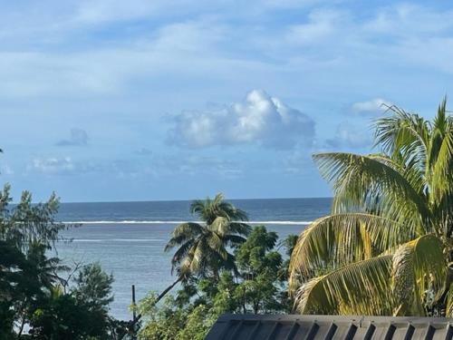 a view of a beach with palm trees and the ocean at The Crow's Nest Resort Fiji in Korotogo