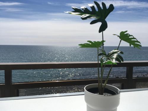 Malibu