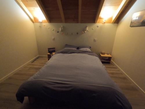 um quarto com uma cama grande num quarto em Oisans Chalet indépendant em Le Vert