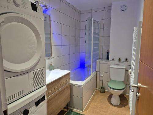a bathroom with a shower and a toilet and a sink at L’appart Les p’tits Loups in Gérardmer