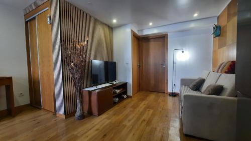 a living room with a couch and a television at Apimonte City House B in Bragança