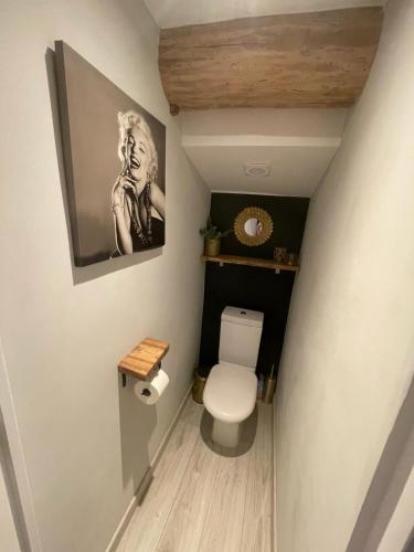 a bathroom with a toilet and a picture of a woman at La porte chamarrée... in Saint-Nicolas-de-la-Grave