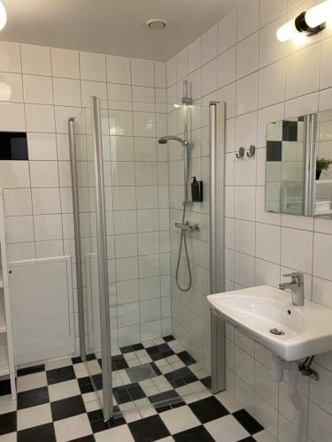 y baño con ducha y lavamanos. en Rasta Bromölla, en Bromölla