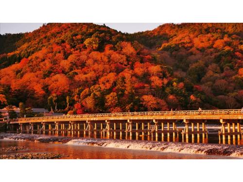 a bridge over a river with colorful trees at River Side Arashiyama - Vacation STAY 86224v in Kyoto