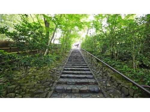 a stone path in the middle of a forest at River Side Arashiyama - Vacation STAY 86224v in Kyoto
