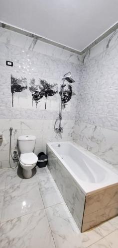 a white bathroom with a tub and a toilet at Elminaa Residence 6 in Luxor
