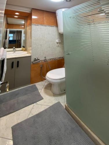 ein Bad mit einem WC, einem Waschbecken und einer Dusche in der Unterkunft Crescent of the Lake Luxury Apartment in Tunis