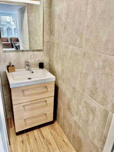 une salle de bain avec un lavabo et un miroir dans l'établissement Le Milaz - Appartement classé 3* proche du lac - 8 personnes, à Thonon-les-Bains