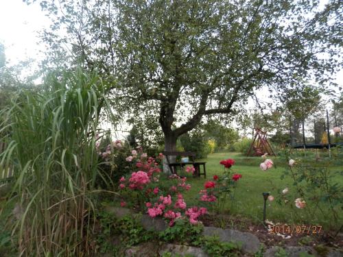 a garden with flowers and a tree and a bench at Zagroda Agroturystyczna Wiecha in Mieroszów