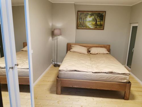 a bedroom with a bed and a mirror at Vokės parko apartamentai in Vilnius
