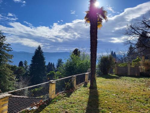 una palma in un giardino con il sole dietro di Holiday Home Villa Miralago by Interhome ad Agno