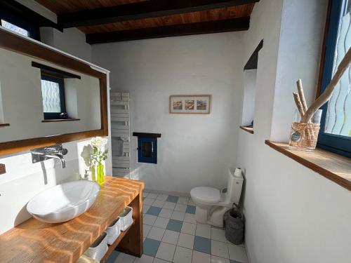 a bathroom with a sink and a toilet at Charmant trois pièces à la campagne in Pouillon