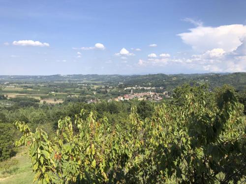 Aussicht von der Spitze eines Baumes in der Unterkunft Holiday Home Bellavista by Interhome in Acqui Terme