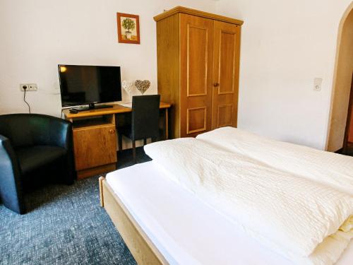TV a/nebo společenská místnost v ubytování Apartment Einzimmer by Interhome