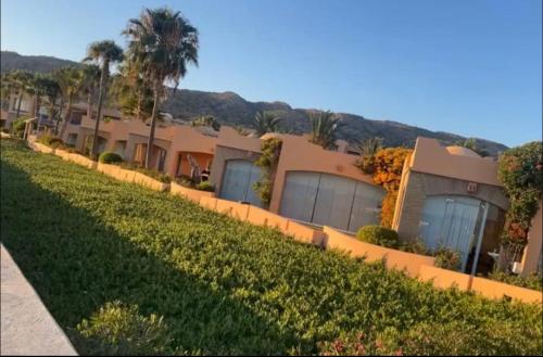 une rangée de maisons avec des palmiers et de l'herbe dans l'établissement Paradis Plage Pieds dans l'eau - Superbe Appartement, à Agadir