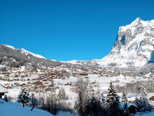 a village covered in snow with a mountain in the background at Apartment Chalet Pfingstrose by Interhome in Grindelwald